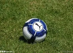 乐鱼体育,产品,乐鱼体育平台,乐鱼体育平台,乐鱼体育官方网站,乐鱼体育登录入口,乐鱼体育app下载