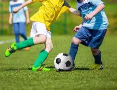 乐鱼体育,资讯,乐鱼体育平台,乐鱼体育平台,乐鱼体育官方网站,乐鱼体育登录入口,乐鱼体育app下载