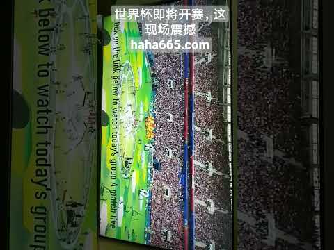 凱恩,對結果小有,遺憾,乐鱼体育平台,乐鱼体育官方网站,乐鱼体育登录入口,乐鱼体育app下载