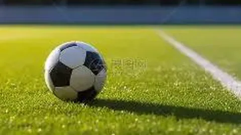 乐鱼体育 产品 094525 42f