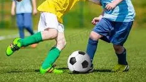 乐鱼体育 资讯 110106 ofx