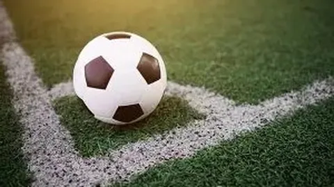 乐鱼体育 资讯 110238 eg4