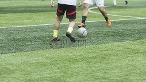 乐鱼体育 资讯 110053 xb8