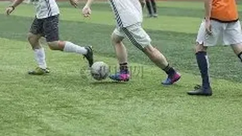 AI快报：2025年11月21日体育焦点盘点