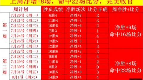 乐鱼体育，乐鱼体育直播， 114203